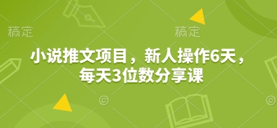 小说推文项目，新人操作6天，每天3位数分享课-心语项目网