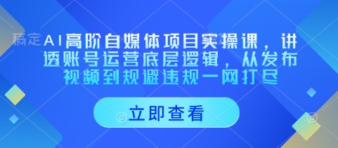 AI高阶自媒体项目实操课，讲透账号运营底层逻辑，从发布视频到规避违规一网打尽-心语项目网