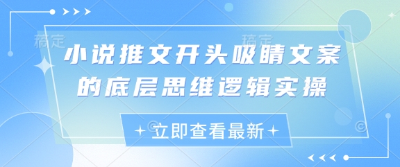 小说推文开头吸睛文案的底层思维逻辑实操-心语项目网
