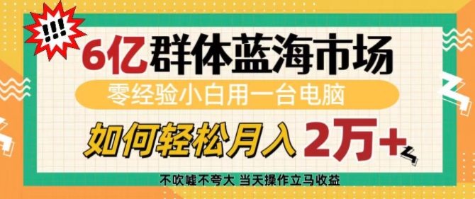 6亿群体蓝海市场，零经验小白用一台电脑，如何轻松月入过w【揭秘】-心语项目网