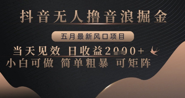 抖音无人撸音浪掘金,五月最新风口项目,当天见效,日收益多张,小白可做简单粗暴可矩阵【揭秘】