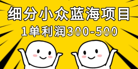细分小众蓝海项目，一单利润3张，每月收入稳定过1w+-心语项目网