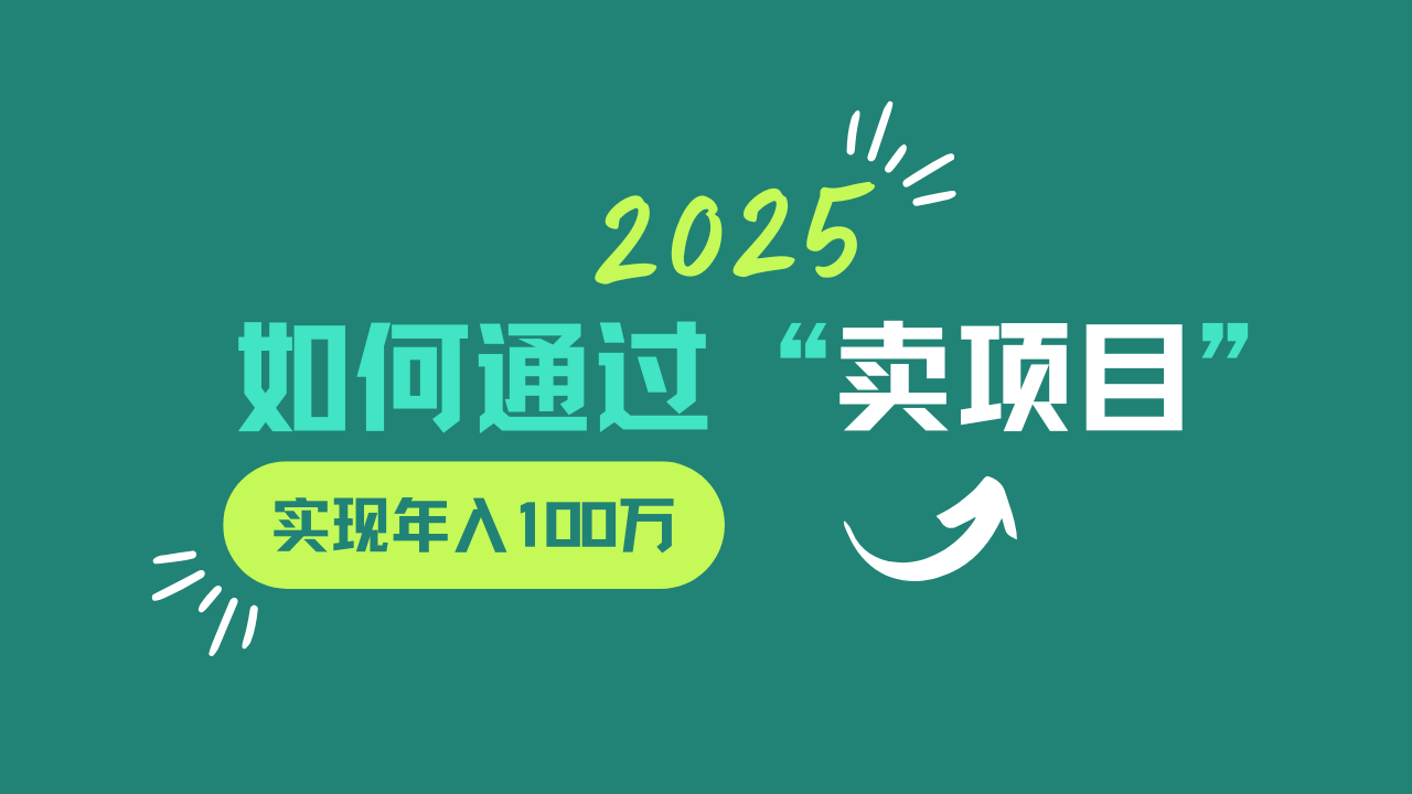 2025年如何通过“卖项目”实现年入100w-心语项目网