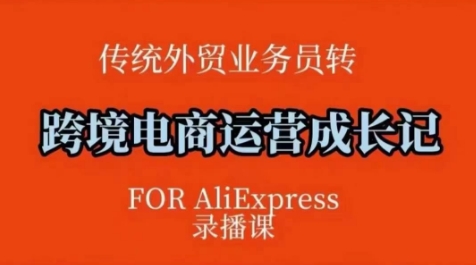 跨境电商速卖通运营课，​运营方法论+后台实操，逻辑清晰-心语项目网