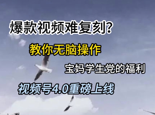 视频号4.0重磅上线，爆款视频难复刻？教你无脑操作宝妈学生党的福利【揭秘】-心语项目网