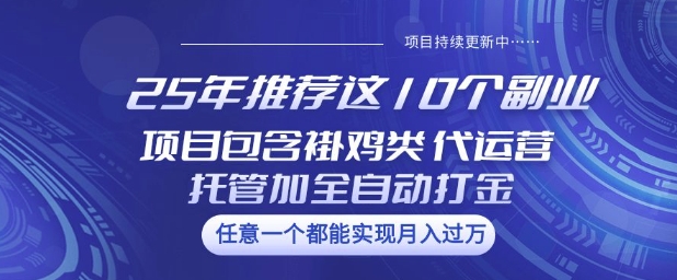 25年推荐这10个副业项目包含褂鸡类、代运营托管类、全自动打金类【揭秘】-心语项目网