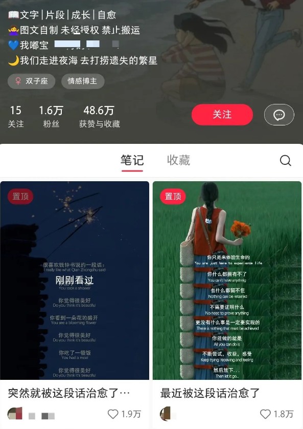小红书治愈文案图文笔记，零门槛，一分钟制作轻松制作爆款作品月入万元-心语项目网