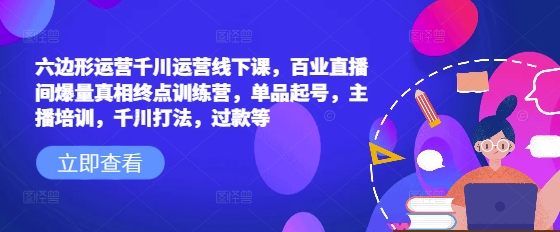六边形运营千川运营线下课，百业直播间爆量真相终点训练营，单品起号，主播培训，千川打法，过款等-心语项目网