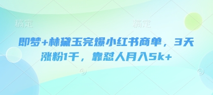 即梦+林黛玉完爆小红书商单，3天涨粉1千，靠怼人月入5k+-心语项目网