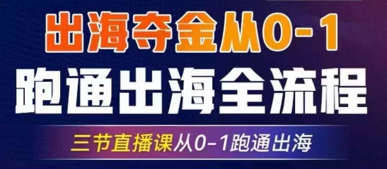 2025出海夺金从0-1跑通出海全流程，三节直播课从0-1跑通出海，教你用AI跑通全流程-心语项目网
