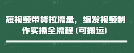 短视频带货拉流量，编发视频制作实操全流程(可搬运)-心语项目网