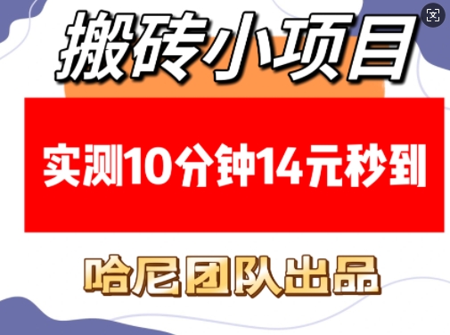 搬砖小项目,实测10分钟14元秒到,每天稳定几张(赠送必看稳定)