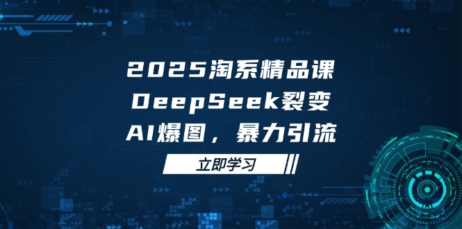 2025 淘系精品课，DeepSeek 裂变，AI 爆图，暴力引流-心语项目网