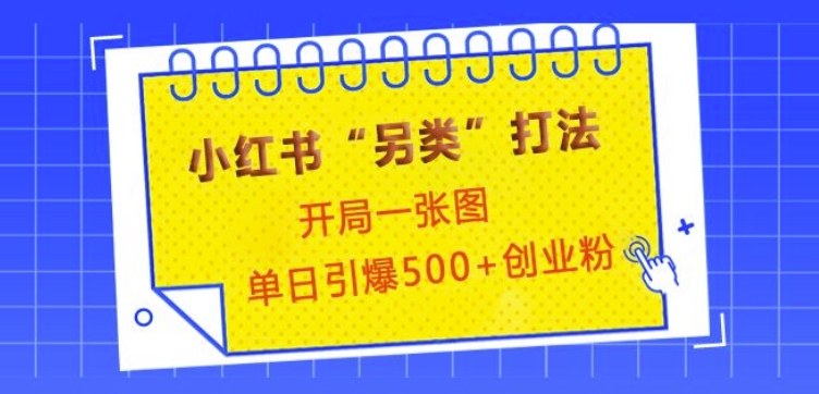 小红书“另类”打法，开局一张图，单日引爆500+精准创业粉【揭秘】-心语项目网