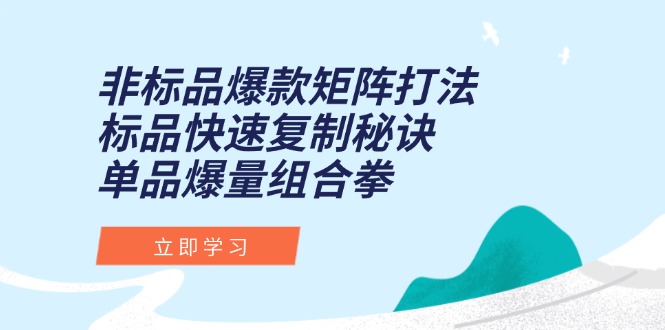 非标品爆款矩阵打法，标品快速复制秘诀，单品爆量组合拳-心语项目网