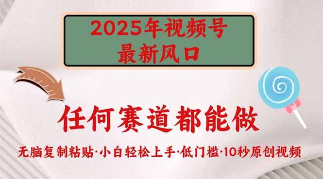 2025年视频号新风口，低门槛只需要无脑执行-心语项目网