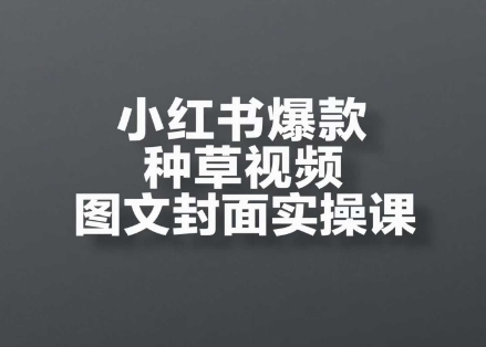 小红书爆款种草视频图文封面实操课，​开店、选品、引流、变现全流程-心语项目网