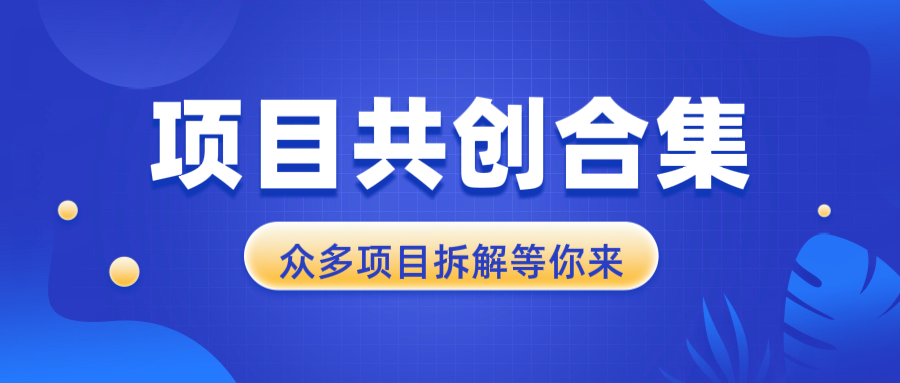 项目共创合集，从0-1全过程拆解，让你迅速找到适合自已的项目-心语项目网