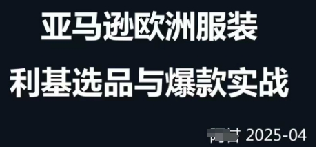 跨境电商选品案例24-25年，聚焦跨境电商选品策略与运营优化，助力卖家挖掘蓝海市场-心语项目网