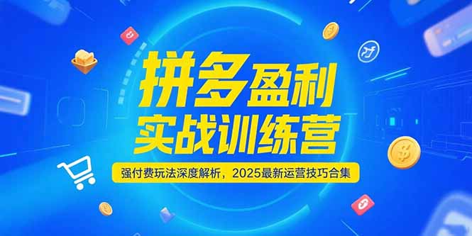 拼多多盈利实战训练营，强付费玩法深度解析，2025运营技巧合集-更新6月-心语项目网