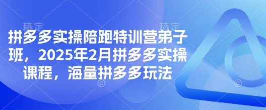 拼多多实操陪跑特训营弟子班，2025年2月拼多多实操课程，海量拼多多玩法-心语项目网