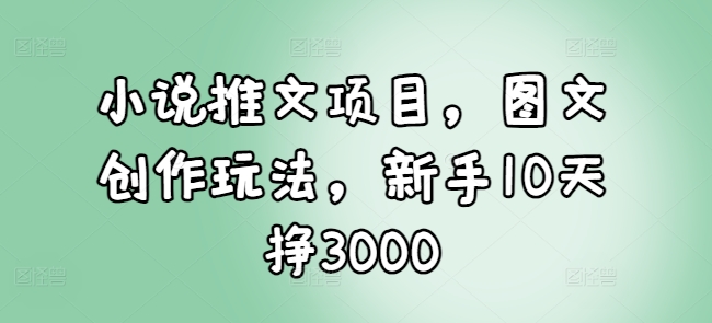 小说推文项目，图文创作玩法，新手10天挣3000-心语项目网