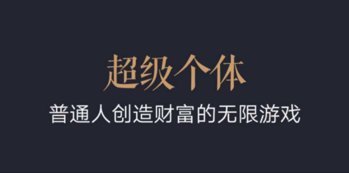 超级个体：2024-2025翻盘指南，普通人创造财富的无限游戏-心语项目网
