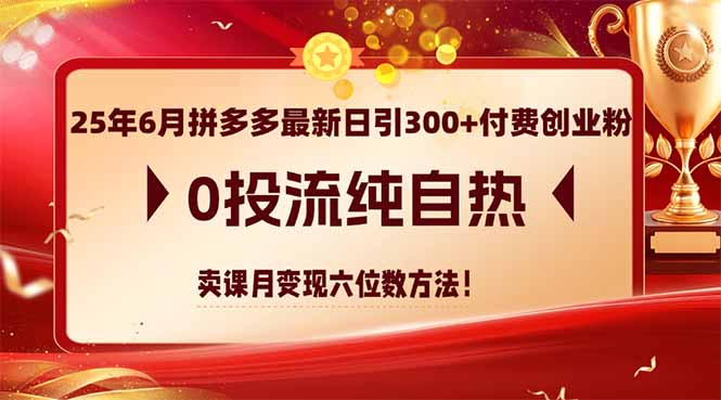 25年6月拼多多最新日引300+付费创业粉，0投流纯自热 卖课月变现六位数方法-心语项目网