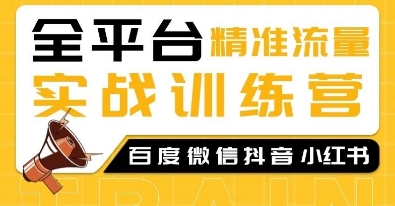 全平台精准流量实战训练营，百度微信抖音小红书SEO引流教程-心语项目网