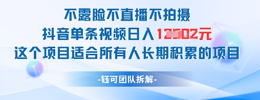 不露脸不直播不拍摄抖音单条视频日入1k+这个项目适合所有人长期积累的项目-心语项目网