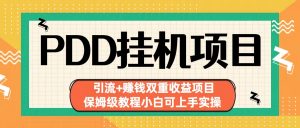 拼多多挂机项目 引流+赚钱双重收益项目(保姆级教程小白可上手实操)-心语项目网