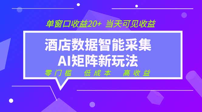 2026酒店数据采集ai智能矩阵新风口  低成本   高收益   当天见收益   单窗口20+-心语项目网