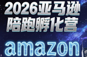 跨境米亚·亚马逊陪跑孵化营(第7期)-心语项目网