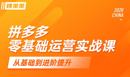 仙道电商·拼多多零基础运营实战课-心语项目网