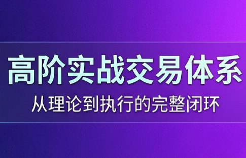 高老师·高阶实战交易体系(更新6月)-心语项目网