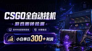 CSGO全自动挂机，游戏搬砖捡漏，软件科技简单易用，长期稳定，小白单日300+利润-心语项目网