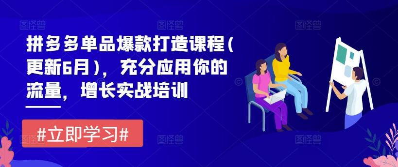 拼多多单品爆款打造课程(更新6月)，充分应用你的流量，增长实战培训-心语项目网