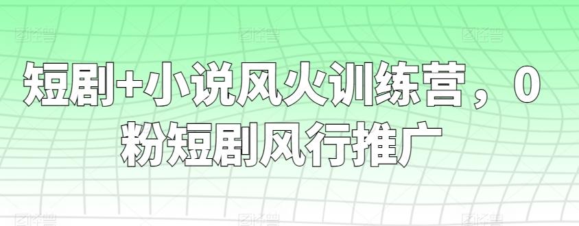 短剧+小说风火训练营，0粉短剧风行推广-心语项目网