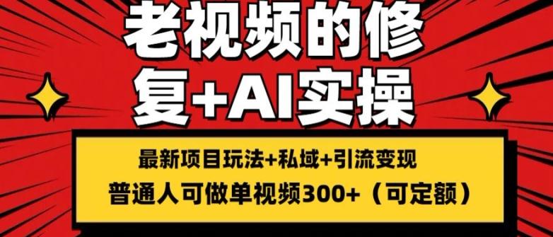 修复老视频的玩法，搬砖+引流的变现(可持久)，单条收益300+【揭秘】-心语项目网