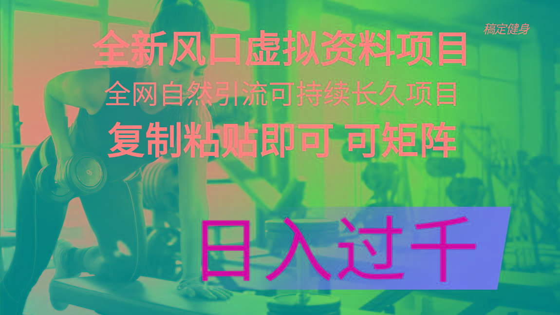 全新风口虚拟资料项目 全网自然引流可持续长久项目 复制粘贴即可可矩阵…-心语项目网