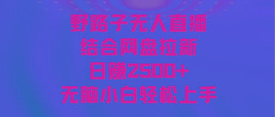 无人直播野路子结合网盘拉新，日赚2500+多平台变现，小白无脑轻松上手操作-心语项目网