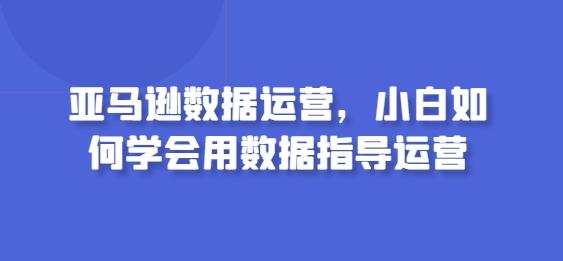 亚马逊数据运营，小白如何学会用数据指导运营-心语项目网