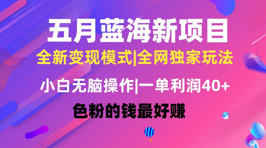五月蓝海项目全新玩法，小白无脑操作，一天几分钟，矩阵操作，月入4万+-心语项目网