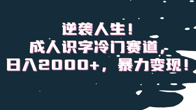 逆袭人生！成人识字冷门赛道，日入2000+，暴力变现！【揭秘】-心语项目网