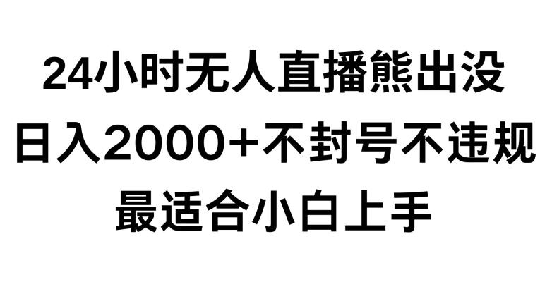 快手24小时无人直播熊出没，不封直播间，不违规，日入2000+，最适合小白上手，保姆式教学【揭秘】-心语项目网