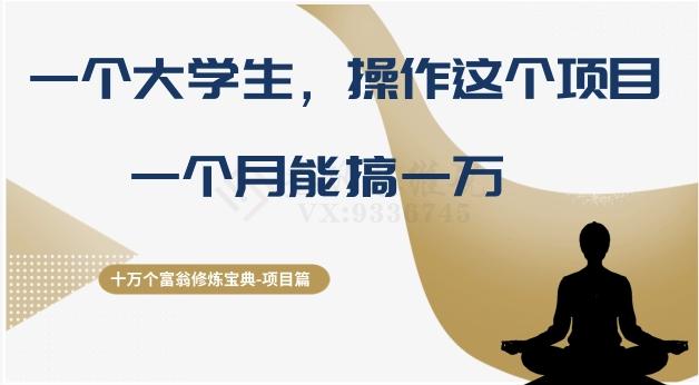 十万个富翁修炼宝典之4.一个大学生操作这个项目，一个月能搞一万-心语项目网