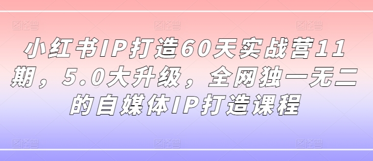 小红书IP打造60天实战营11期，5.0大升级，全网独一无二的自媒体IP打造课程-心语项目网