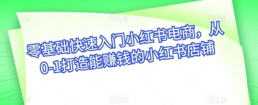 零基础快速入门小红书电商，从0-1打造能赚钱的小红书店铺-心语项目网