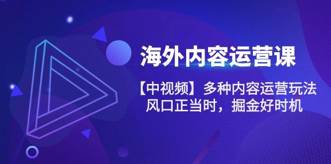 海外内容 运营课【中视频】多种内容运营玩法 风口正当时 掘金好时机-101节-心语项目网