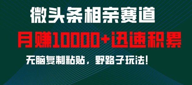 微头条相亲赛道，迅速积累，无脑复制粘贴，野路子玩法，月入1w-心语项目网